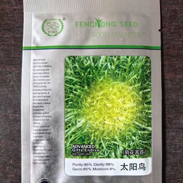 菊花苦苣种子太阳鸟碎叶苦菊种子基地高产小花叶耐热