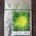 菊花苦苣种子太阳鸟碎叶苦菊种子基地高产小花叶耐热