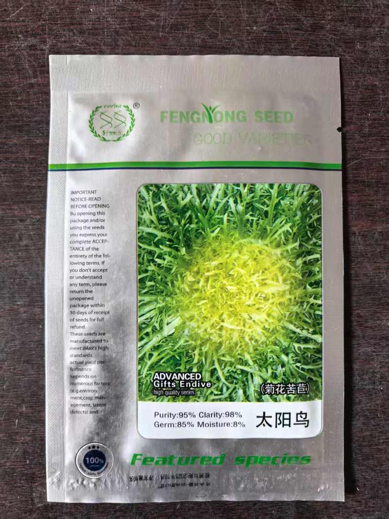 菊花苦苣种子太阳鸟碎叶苦菊种子基地高产小花叶耐热