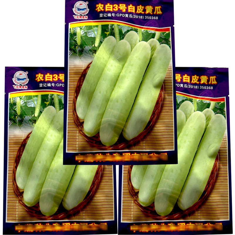 中蔬农白三号白皮黄瓜种子早熟雌花多甜脆水果黄瓜