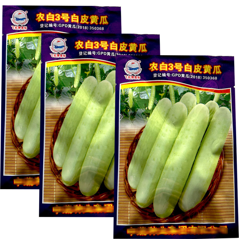 中蔬农白三号白皮黄瓜种子早熟雌花多甜脆水果黄瓜