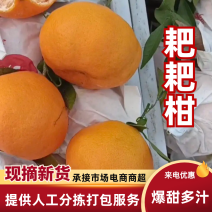 春见又名耙耙柑，纯甜化渣，对接全国各地电商市场批发及外贸