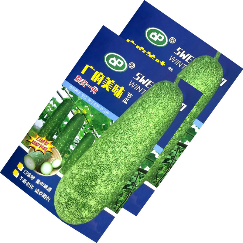 广府美味节瓜种子杂交早熟软皮淡绿肉耐热不易老化采收期长