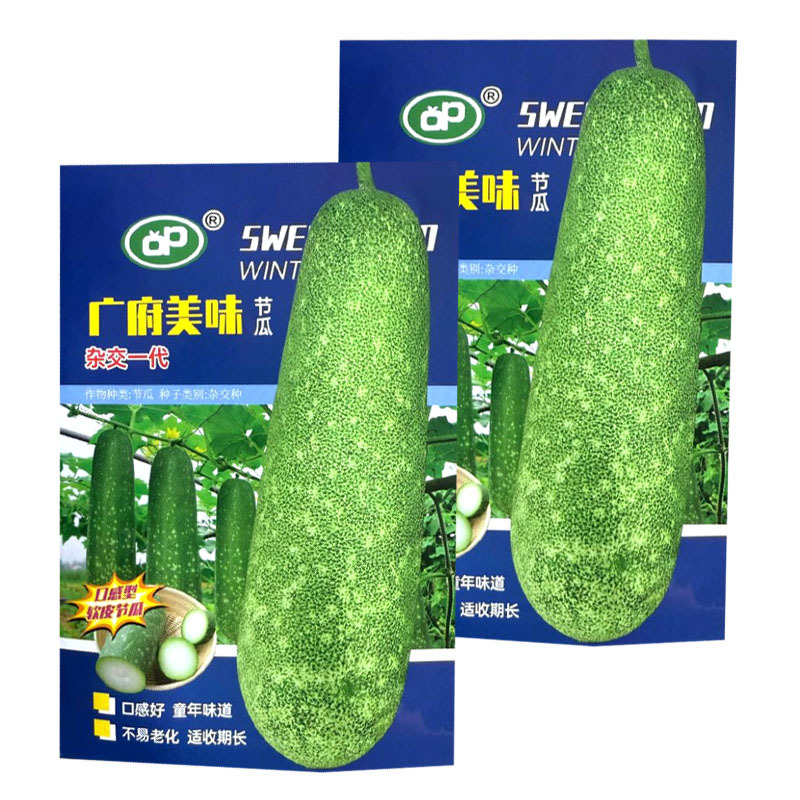 广府美味节瓜种子杂交早熟软皮淡绿肉耐热不易老化采收期长