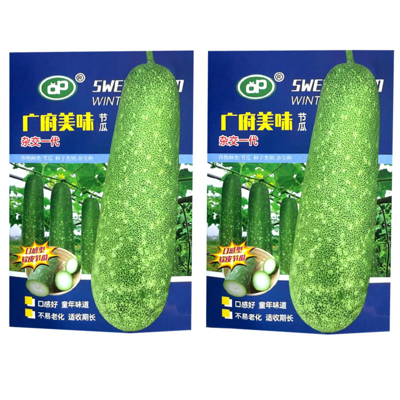 广府美味节瓜种子杂交早熟软皮淡绿肉耐热不易老化采收期长