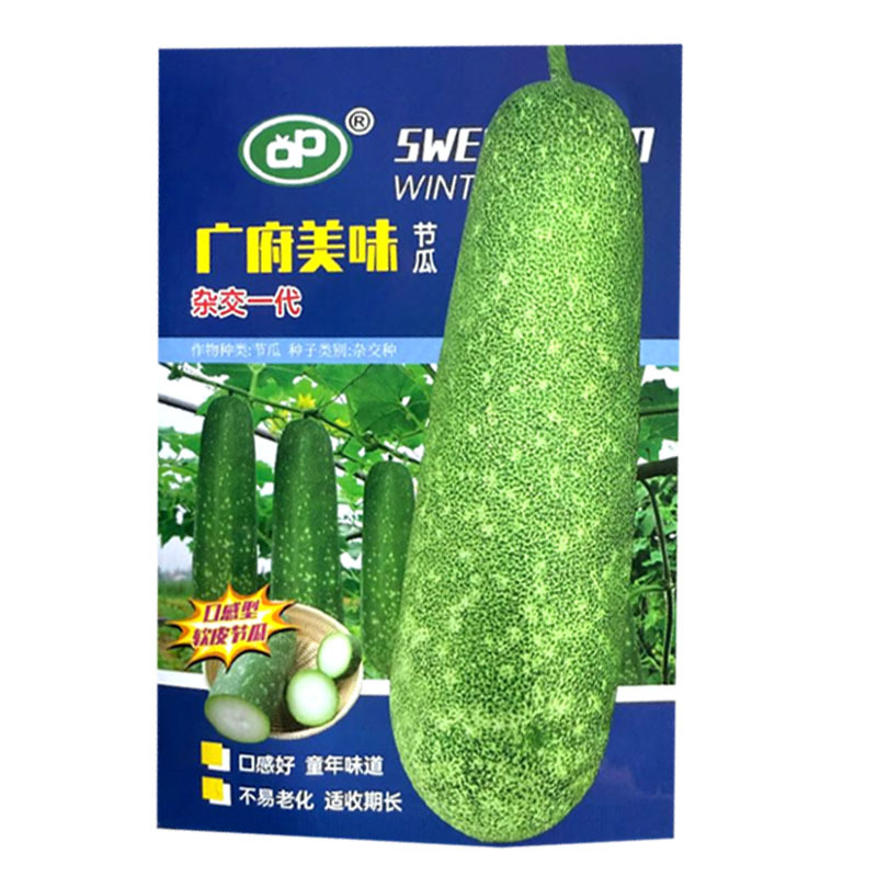广府美味节瓜种子杂交早熟软皮淡绿肉耐热不易老化采收期长