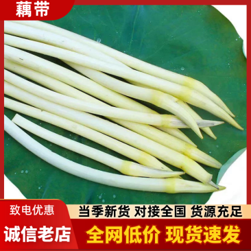 精品藕带。基地种植。欢迎新老顾客购买。大量上市。