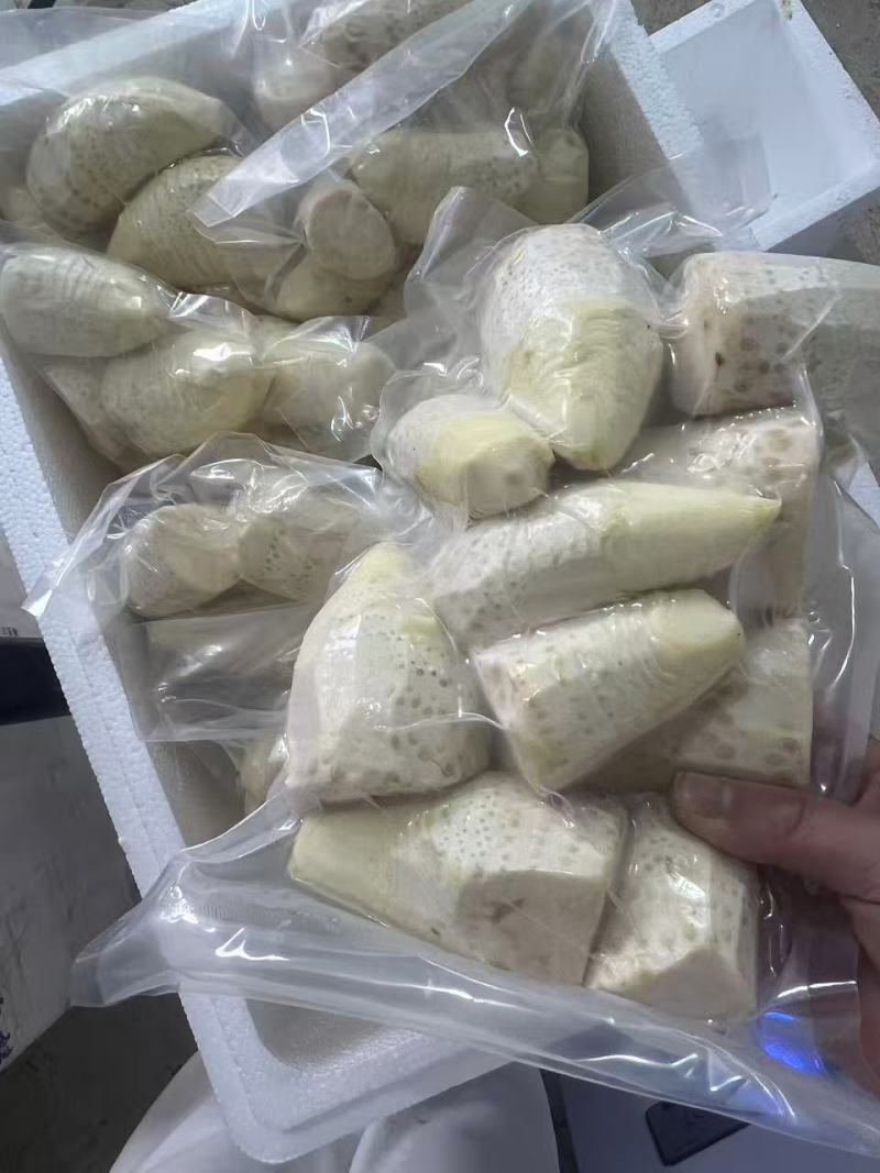黄泥冬笋贵州遵义赤水冬笋新鲜现挖现发脆嫩鲜美口感好