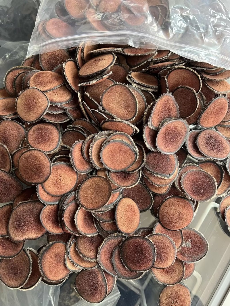 鹿茸红粉片品种规格齐全质量保障价格实惠欢迎老板联系
