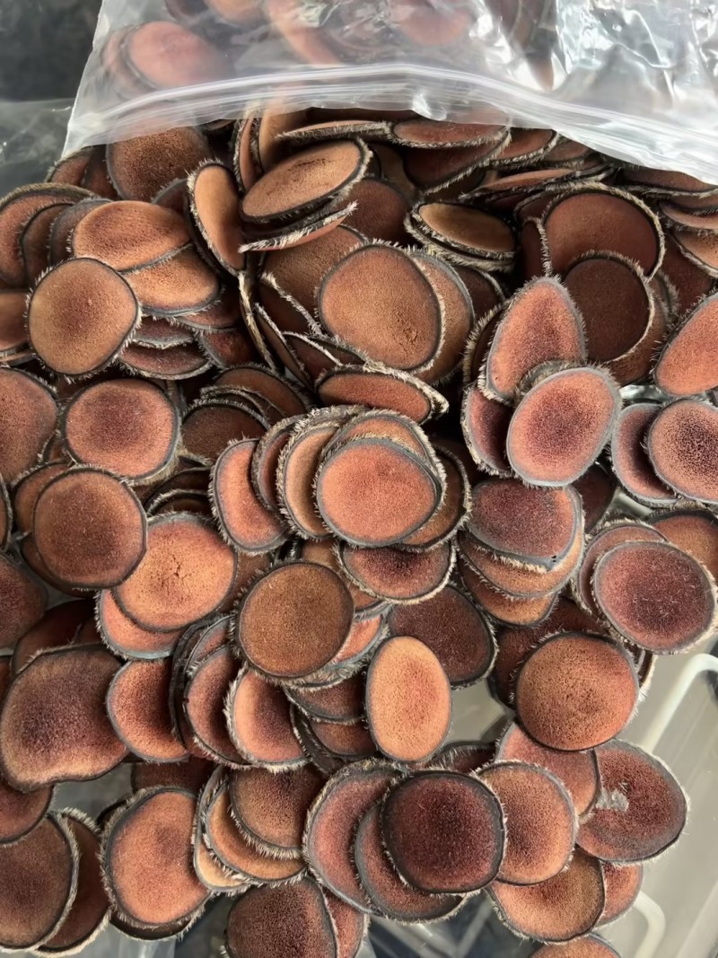 鹿茸红粉片品种规格齐全质量保障价格实惠欢迎老板联系