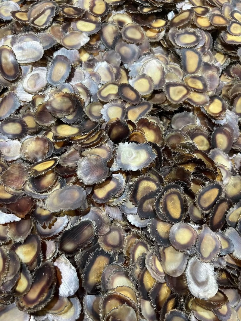 鹿茸含血净腊片吉林白山鹿茸片大量批发长期供货诚信经营欢迎**