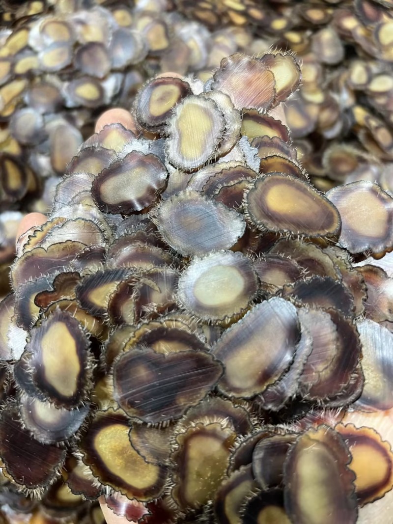 鹿茸含血净腊片吉林白山鹿茸片大量批发长期供货诚信经营欢迎**