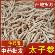 中药材太子参新货太子参现货供应规格齐全