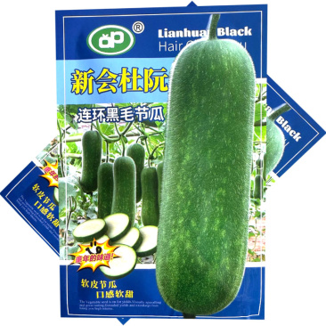 新会杜阮连环黑毛节瓜种子软皮节瓜口感软甜结瓜早产量高