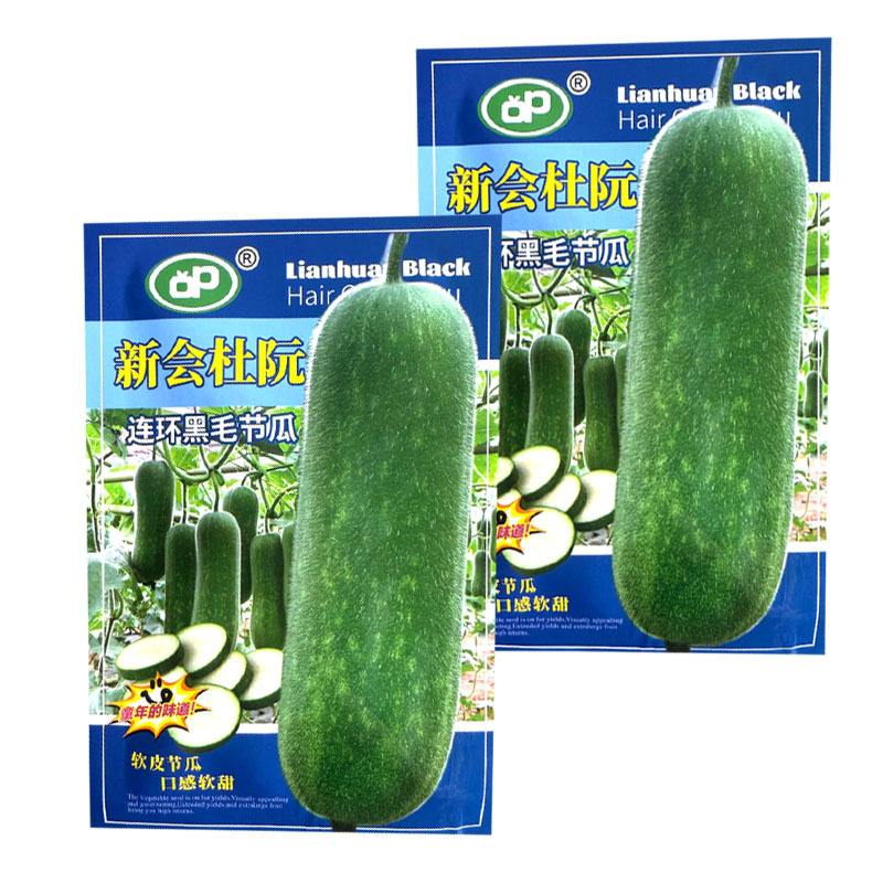新会杜阮连环黑毛节瓜种子软皮节瓜口感软甜结瓜早产量高