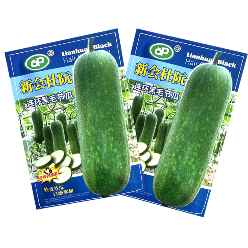 新会杜阮连环黑毛节瓜种子软皮节瓜口感软甜结瓜早产量高