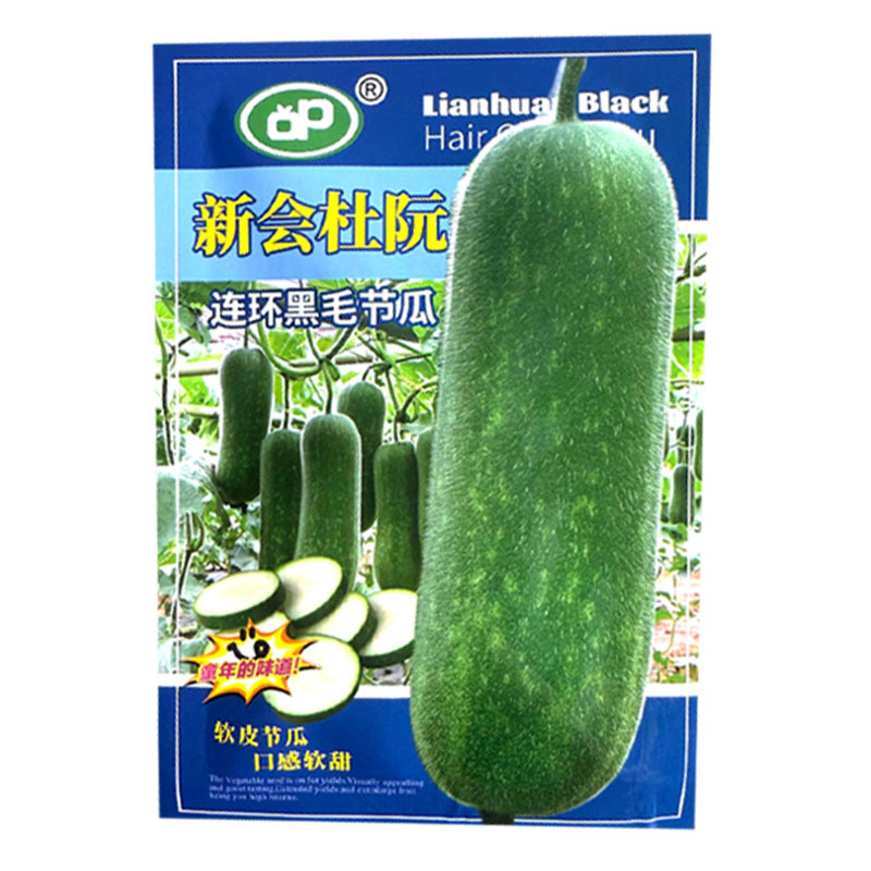 新会杜阮连环黑毛节瓜种子软皮节瓜口感软甜结瓜早产量高