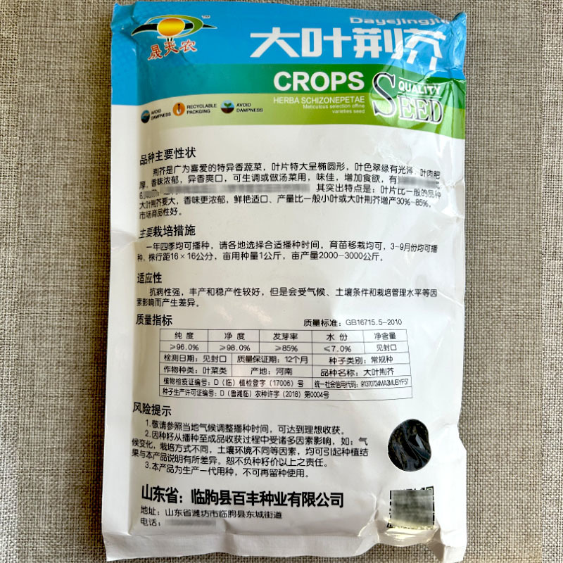 正宗大叶荆芥种子早熟叶片特大500g香味浓郁基地专用