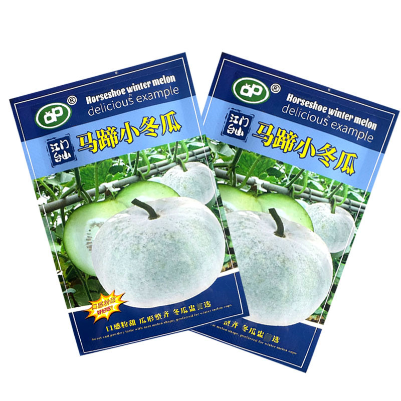 马蹄小冬瓜种子早熟口感粉甜瓜形整齐耐旱耐热大田基地