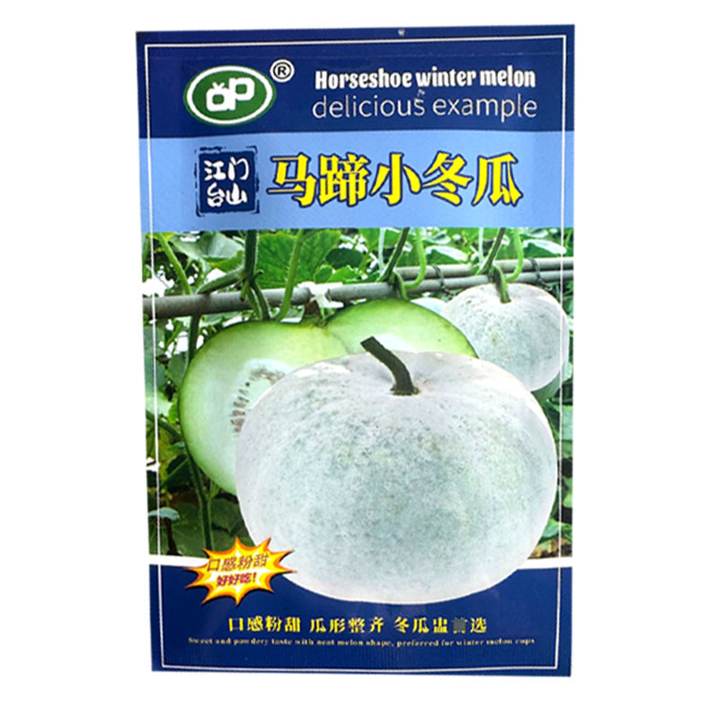 马蹄小冬瓜种子早熟口感粉甜瓜形整齐耐旱耐热大田基地