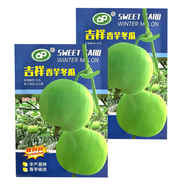 吉祥香芋冬瓜种子杂交中早熟香芋味浓肉厚细嫩清甜连续座果强