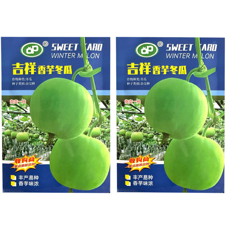 吉祥香芋冬瓜种子杂交中早熟香芋味浓肉厚细嫩清甜连续座果强