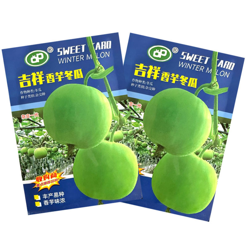 吉祥香芋冬瓜种子杂交中早熟香芋味浓肉厚细嫩清甜连续座果强