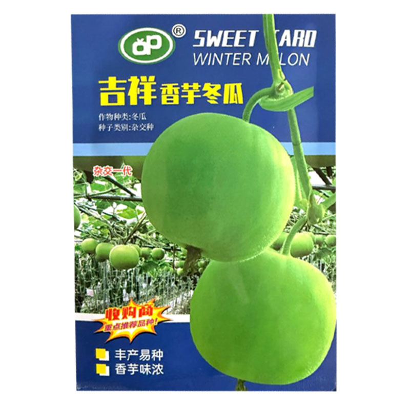 吉祥香芋冬瓜种子杂交中早熟香芋味浓肉厚细嫩清甜连续座果强