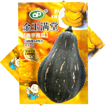 金玉满堂香芋南瓜种子杂交口感粉嫩芋香味十足口感南瓜种籽