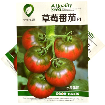 草莓番茄种子无限生长铁皮深粉色带绿肩味甜水果番茄种籽