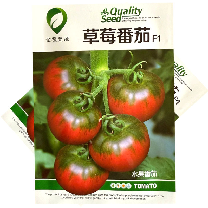 草莓番茄种子无限生长铁皮深粉色带绿肩味甜水果番茄种籽