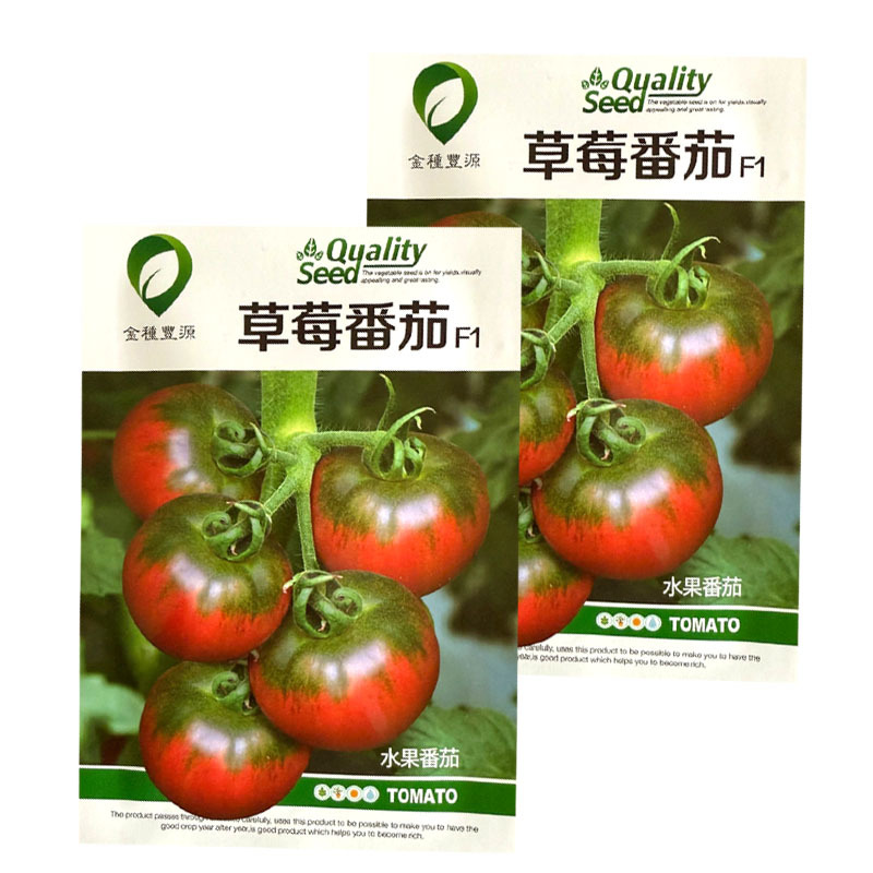 草莓番茄种子无限生长铁皮深粉色带绿肩味甜水果番茄种籽