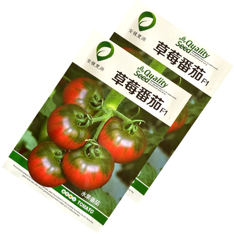 草莓番茄种子无限生长铁皮深粉色带绿肩味甜水果番茄种籽