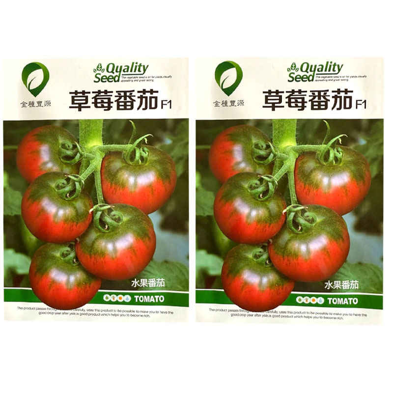 草莓番茄种子无限生长铁皮深粉色带绿肩味甜水果番茄种籽