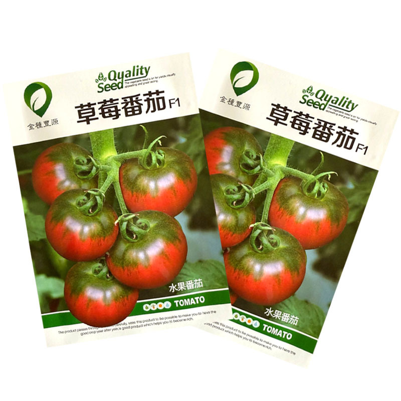 草莓番茄种子无限生长铁皮深粉色带绿肩味甜水果番茄种籽