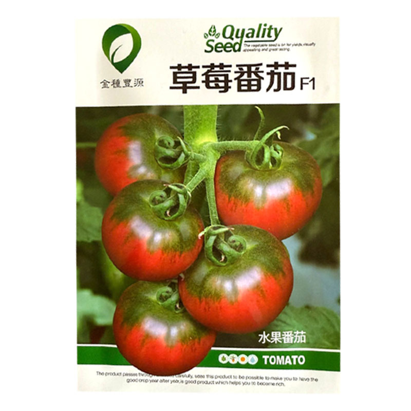 草莓番茄种子无限生长铁皮深粉色带绿肩味甜水果番茄种籽