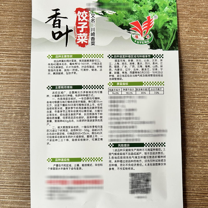 香叶饺子菜种子脆嫩清香可口清炒做汤凉拌腌制酸菜包饺子