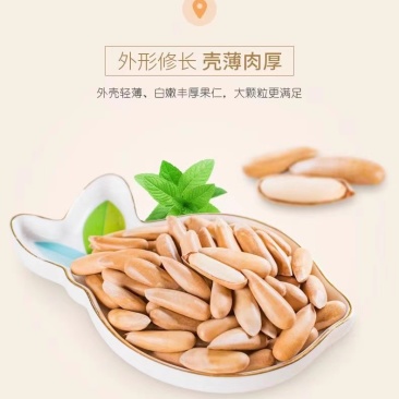 手剥巴西松子新货散装特大颗阿富汗干果坚果