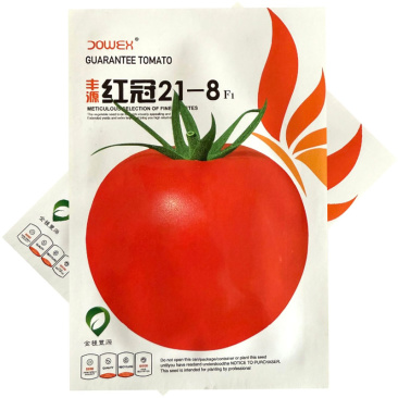红冠21-8大红果番茄种子高秧生长型果实高圆抗病抗裂果