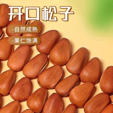 东北开口松子大颗粒坚果干果新鲜干货炒货办公室零食