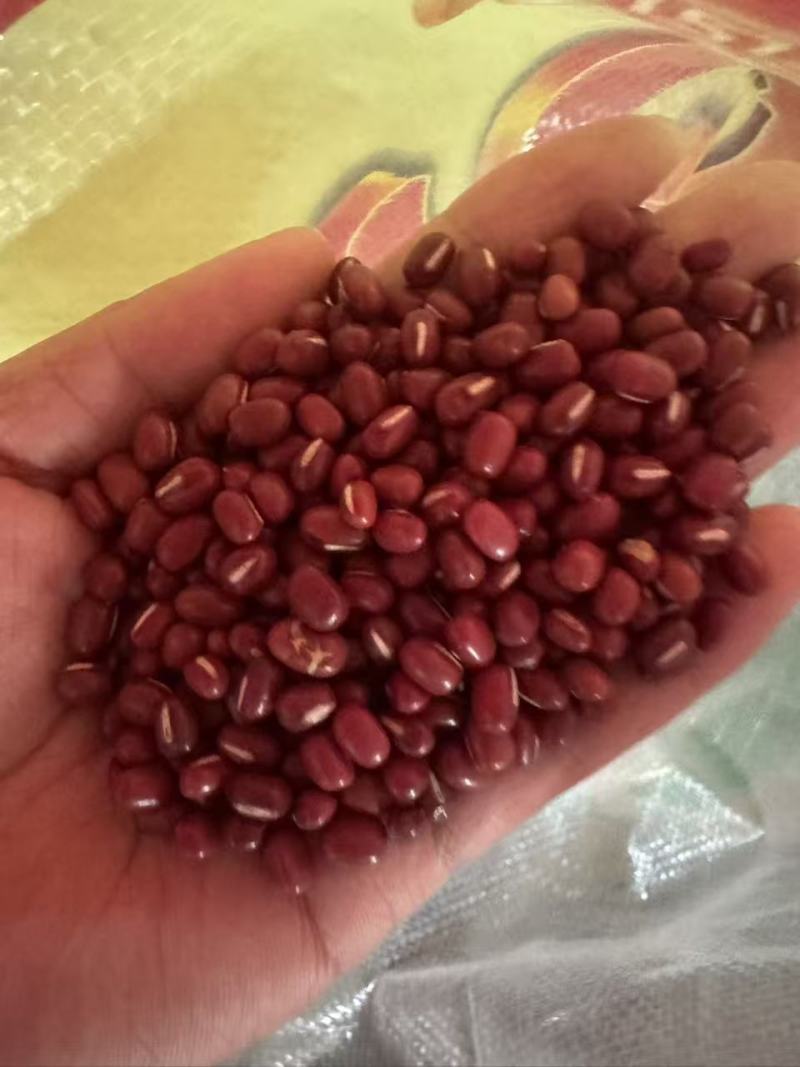 红小豆红豆量大从优颗粒饱满沙糯全国发货