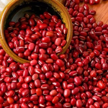 红小豆红豆量大从优颗粒饱满沙糯全国发货