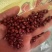 红小豆红豆量大从优颗粒饱满沙糯全国发货