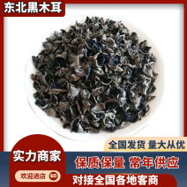 东北黑木耳黑厚无痕肉厚无杂质东北地摊电商展销会供应