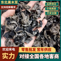 【热卖】东北黑木耳干货批发小碗耳秋木耳一件代发全国可发