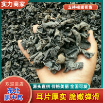 精选东北黑木耳，比质量比价格地摊电商诚信经营