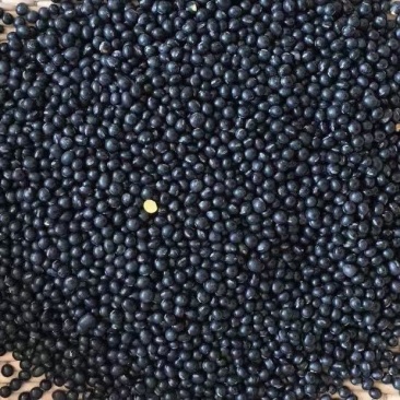 东北黄芯黑豆农产自产黑豆