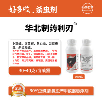 华北制药爱诺利刃30%虫螨腈·氯虫苯甲酰胺悬浮剂