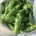江苏淮安薄皮椒大量供应精选品质产地直量大价优全国发货