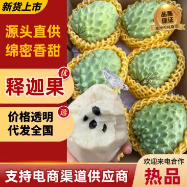 凤梨释迦果广西产地直销量大从优可视频看货对接全国